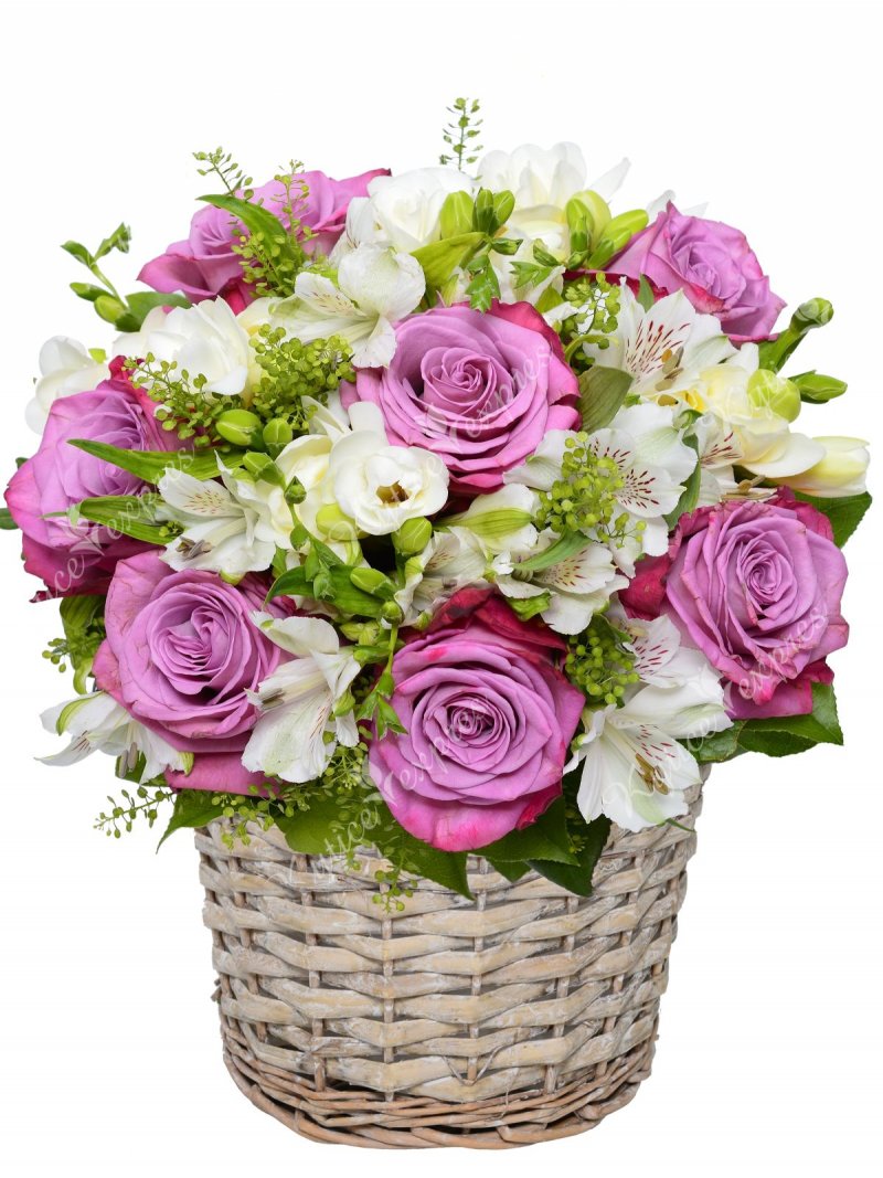 Flower basket - violet-white