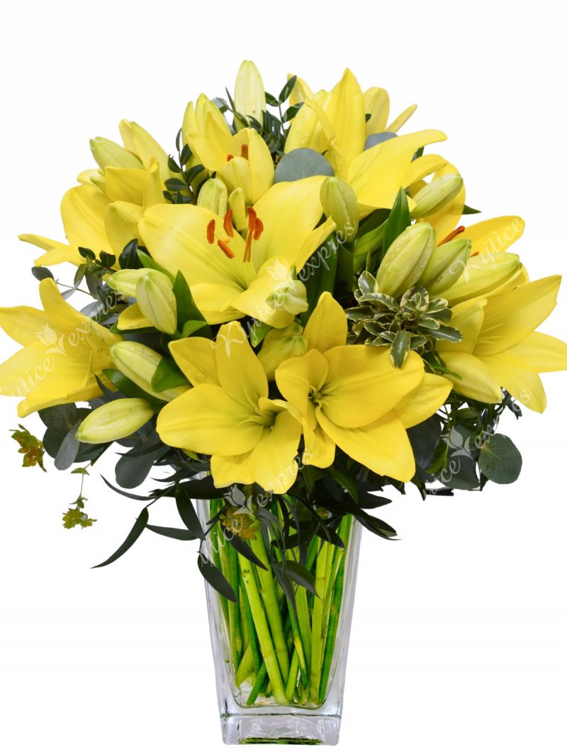 Žluté lilie : Kytice Expres