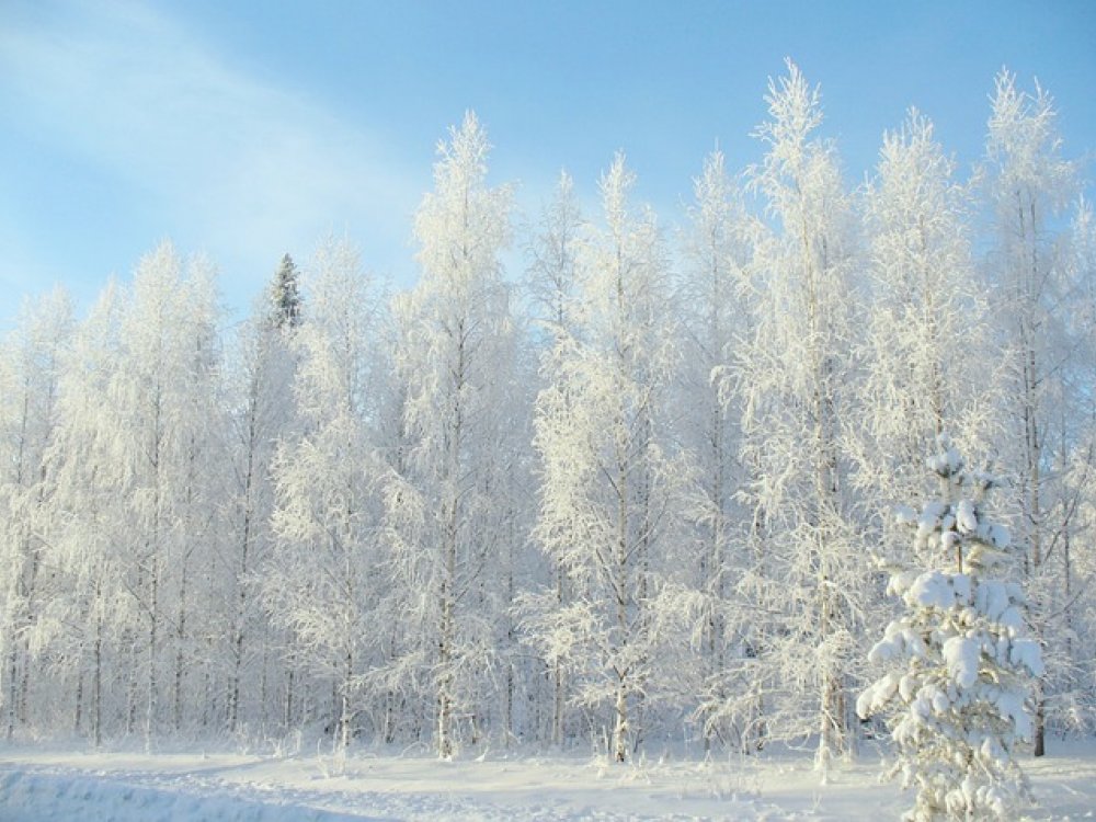 Jak se v zimě spojit s přírodou a zlepšit své duševní zdraví