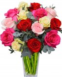 Mix růží : Květiny online
