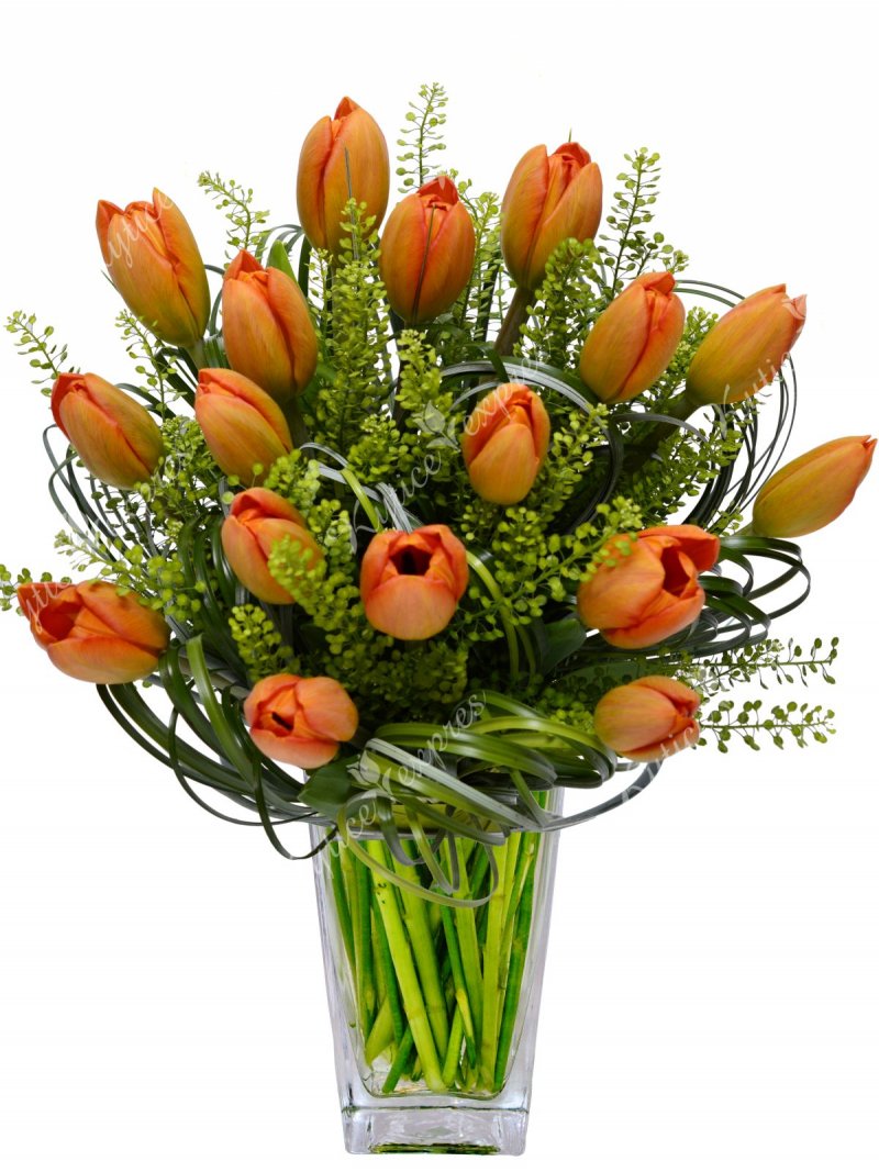 Oranžové tulipány